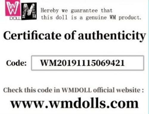 Original oder Fake – Der Anti Fake Check von WM Dolls